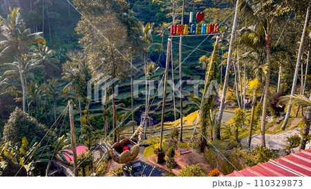 テガララン・ライステラスの風景 テガララン・ライステラスの風景 110329873