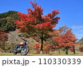 バイクと紅葉 110330339