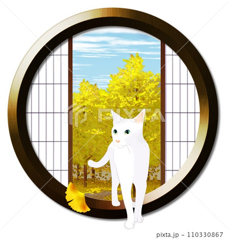 丸窓から見える銀杏並木と猫 丸窓から見える銀杏並木と猫 110330867