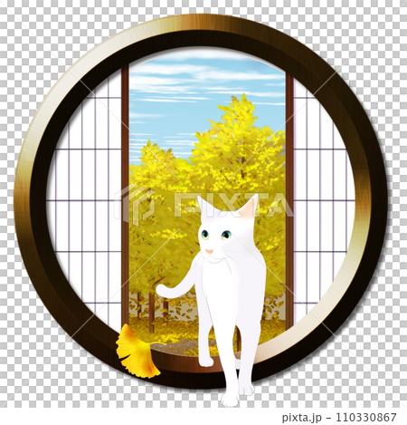 丸窓から見える銀杏並木と猫 丸窓から見える銀杏並木と猫 110330867