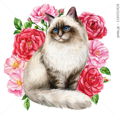 Beautiful cat and branches with red, pink flowers roses, isolated white background. Watercolor Hand-drawn illustration Beautiful cat and branches with red, pink flowers roses, isolated white background. Watercolor Hand-drawn illustration 110331428