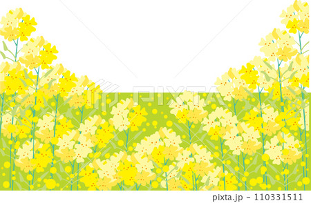 菜の花の風景 110331511