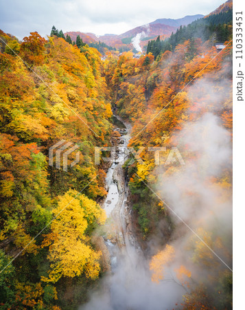 河原湯橋から見下ろす小安峡大噴湯の紅葉 河原湯橋から見下ろす小安峡大噴湯の紅葉 110333451