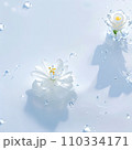 水面に映る純白の花 110334171