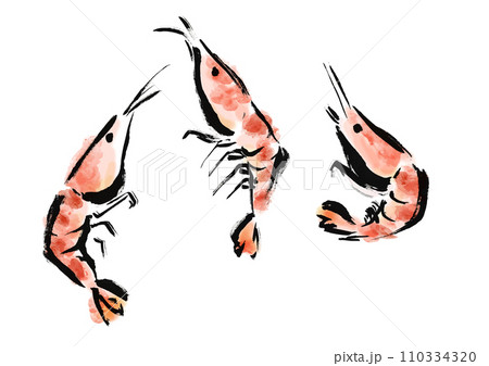 エビが跳ねている和風手描きイラスト エビが跳ねている和風手描きイラスト 110334320