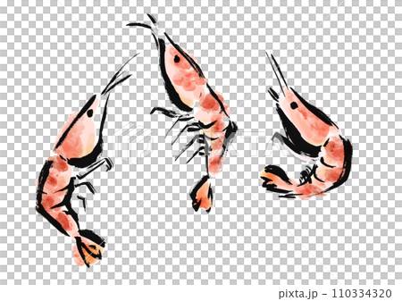 エビが跳ねている和風手描きイラスト エビが跳ねている和風手描きイラスト 110334320