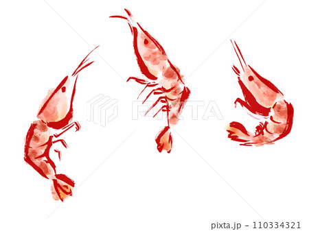 エビが跳ねている和風手描きイラスト エビが跳ねている和風手描きイラスト 110334321