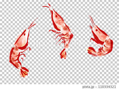 エビが跳ねている和風手描きイラスト エビが跳ねている和風手描きイラスト 110334321