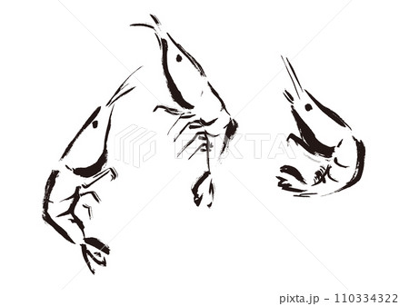 エビが跳ねている和風手描きイラスト 単色,線画 エビが跳ねている和風手描きイラスト 単色,線画 110334322