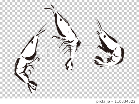 エビが跳ねている和風手描きイラスト 単色,線画 エビが跳ねている和風手描きイラスト 単色,線画 110334322
