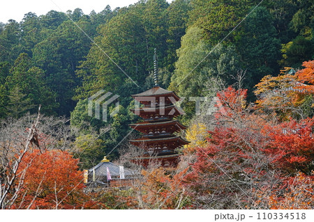 日本 奈良 長谷寺 五重塔 日本 奈良 長谷寺 五重塔 110334518