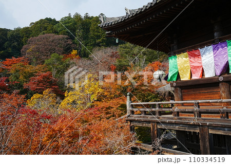 日本 奈良 長谷寺 本堂 日本 奈良 長谷寺 本堂 110334519
