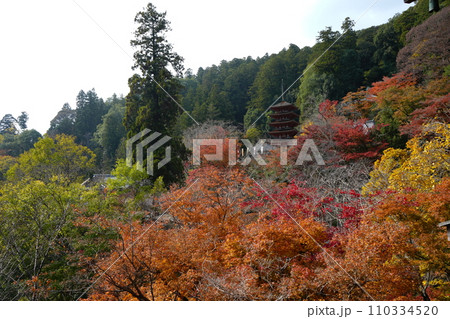 日本 奈良 長谷寺 五重塔 110334520
