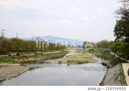 上賀茂御薗橋からの賀茂川下流の風景 上賀茂御薗橋からの賀茂川下流の風景 110334930