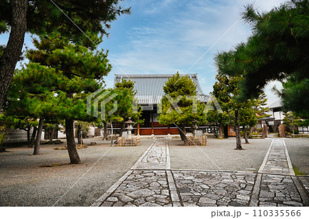 上善寺 上善寺 110335566