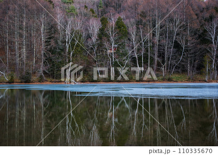 【聖高原】朝の白樺湖【冬】 110335670