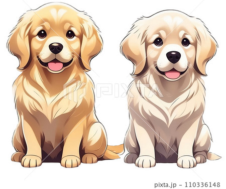 Golden Retriever 110336148