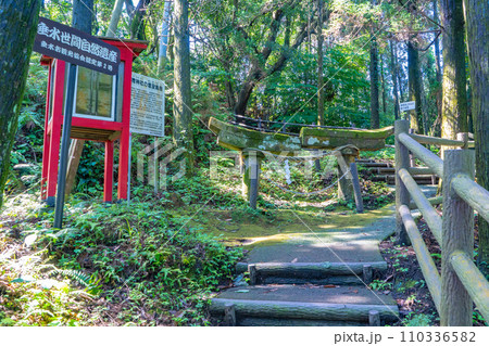 牛根麓稲荷神社の埋没鳥居 牛根麓稲荷神社の埋没鳥居 110336582
