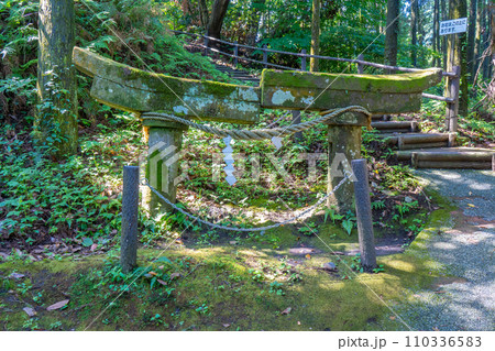 牛根麓稲荷神社の埋没鳥居 牛根麓稲荷神社の埋没鳥居 110336583