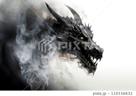 Image of a drargon and black smoke on white background. Mythical creatures. Animal. 110336632