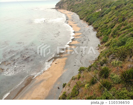 ニュージーランドの「イエローアイドペンギンコロニー」空撮 110336650