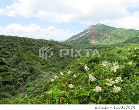 阿蘇の夏景色　中岳周辺に咲くノリウツギ　（熊本県） 110337079