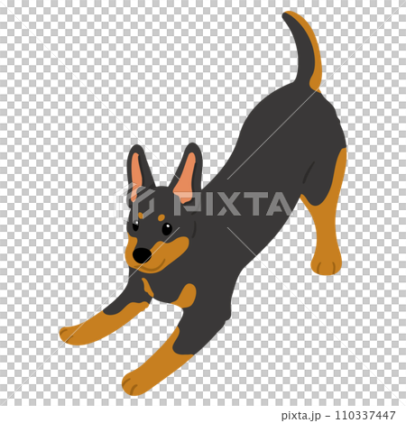 A simple and cute illustration of a Doberman that invites you to play. No main line. 110337447