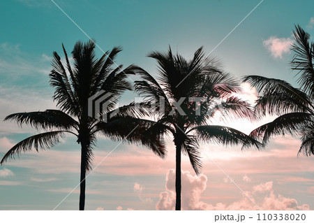 Silhouette of palm trees on sunset sky background. Vintage tone 110338020