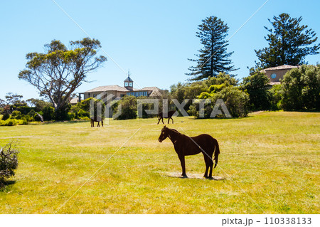 Police Point Shire Park in Australia 110338133
