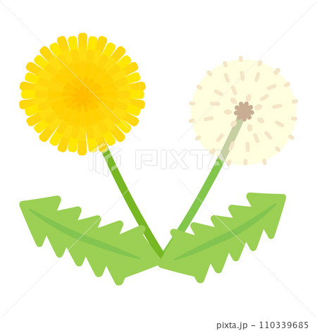 シンプルでかわいいたんぽぽと綿毛のイラスト（フラットデザイン） 110339685