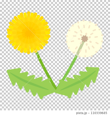 シンプルでかわいいたんぽぽと綿毛のイラスト（フラットデザイン） 110339685