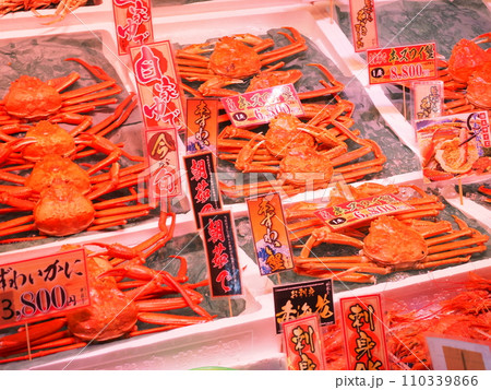 カニの卸売り市場/日本海さかな街/福井県,敦賀市 110339866