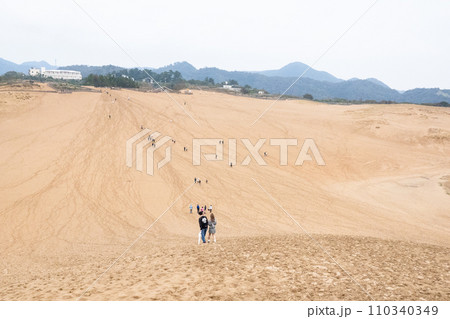 鳥取県「鳥取砂丘」 in Japan 110340349