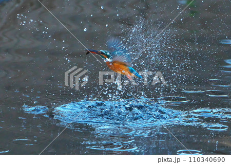 ダイブ！ 110340690