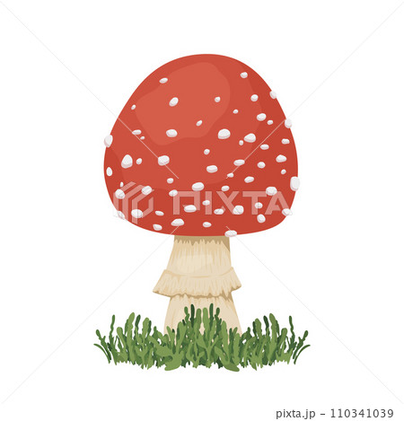 Flat Vector Fly Agaric Icon Closeup Isolated. Cartoon Fly Agaric Mushroom with Grass. Design Template, Clipart 110341039