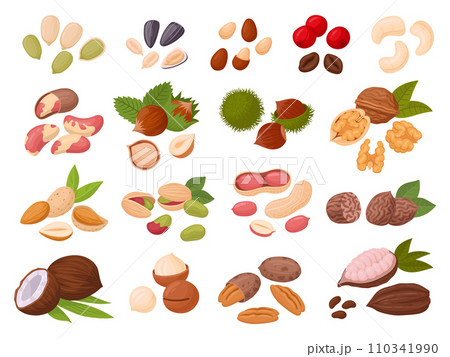 Nuts and seeds. Cartoon cashew, coconut, peanut, almond, walnut, hazelnut and pistachio nuts, cocoa and coffee beans, organic snack food flat vector illustration set. Tasty seed and nuts collection 110341990