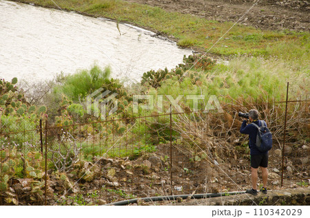 Man photographing birds by a pond. Man photographing birds by a pond. 110342029