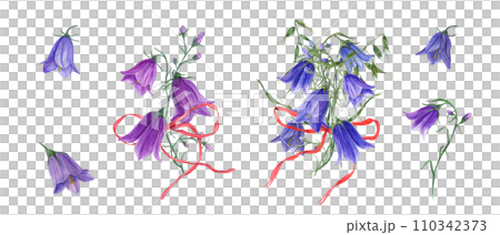 Bouquets of blue lilac campanula, wild oats with red bows. Wild bells flowers, harebells, ribbon. Flower heads, buds. Watercolor illustration of meadow plants. For wedding invitation, birthday cards 110342373