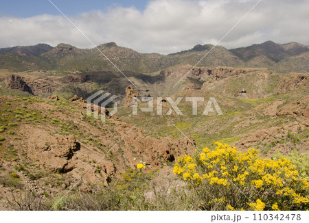 Rough landscape in the southwest of Gran Canaria. 110342478