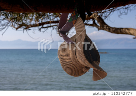 Straw hat hanging on a tree 110342777