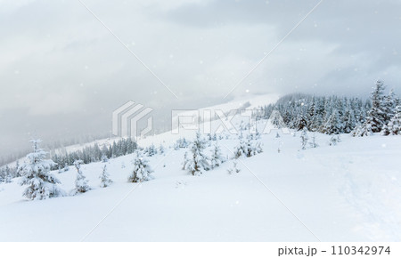 winter mountain landscape winter mountain landscape 110342974