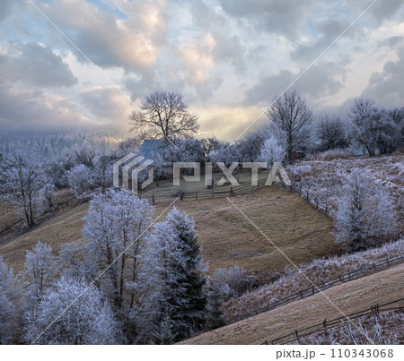 Winter coming. Picturesque pre sunrise scene above late autumn mountain countryside with hoarfrost on grasses, trees, slopes. Peaceful sunlight rays from cloudy sky. Ukraine, Carpathian Mountains. 110343068