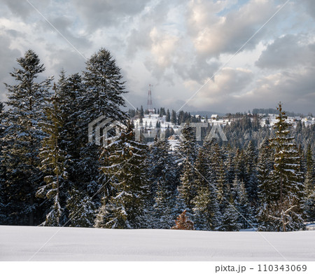 Winter remote alpine mountain village outskirts, countryside hills, groves and farmlands. 110343069