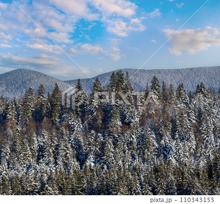 Winter alpine hills with fir and pine forest view from mountain village. Picturesque traveling, hiking, seasonal, nature and countryside beauty concept background scene. 110343155