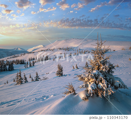 Alpine resort ski slopes and lifts. Pre sunrise morning Svydovets mountain ridge and snow-covered fir trees view, Dragobrat, Ukraine Carpathians. 110343170