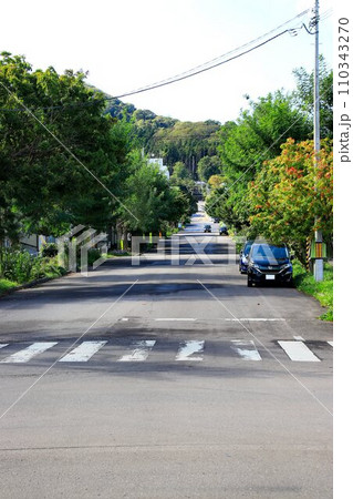 坂の街『函館』… 幸坂から船見公園と山上大神宮を望む 110343270