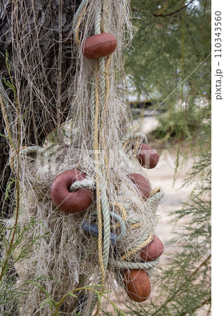 Fishing net hanging on a tree 110343560