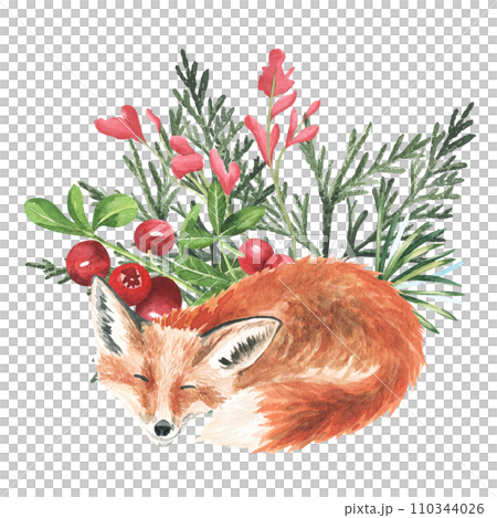 Watercolor hand drawn autumn forest illustrations isolated on white. Sleeping little fox with red berries and leaves green animal composition. 110344026