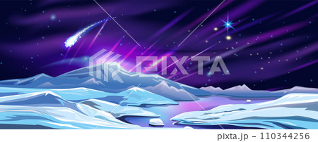 Landscape with Northern lights Landscape with Northern lights 110344256