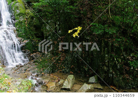 滝の風景 滝の風景 110344659